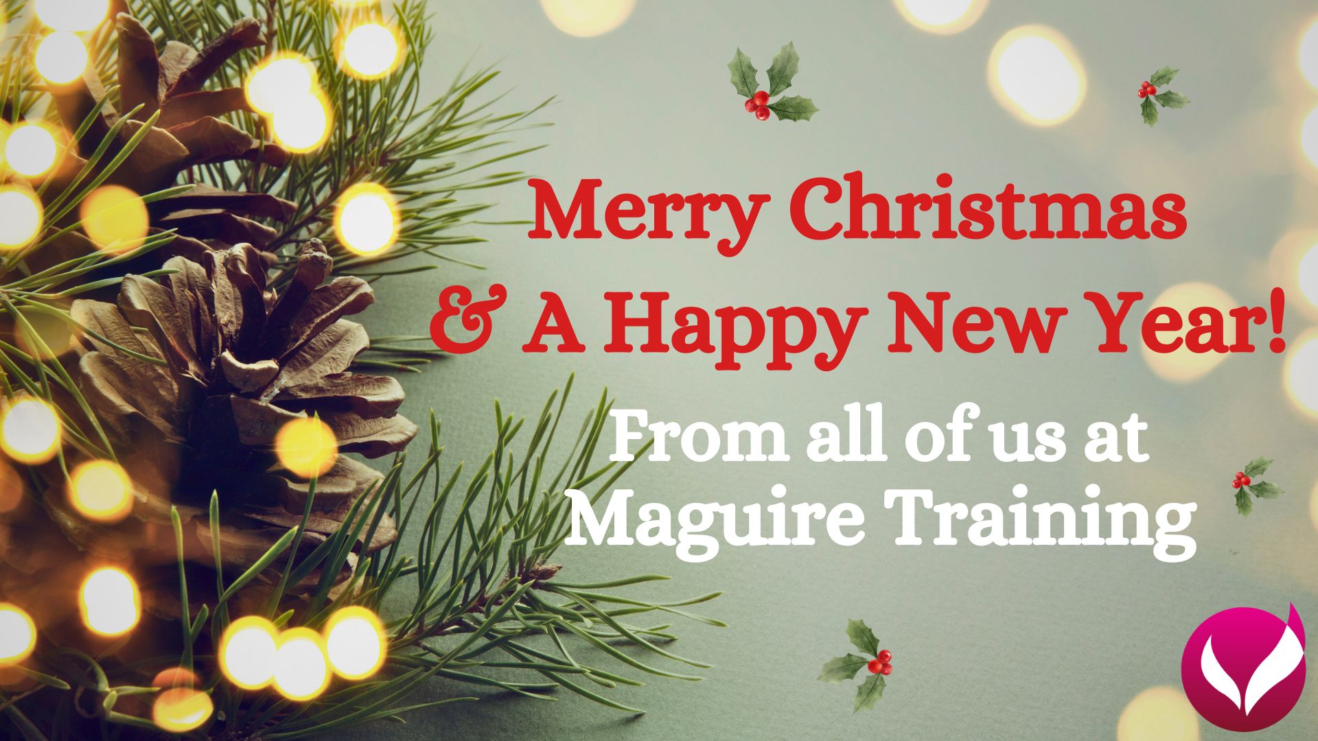Happy Holidays from the Maguire Training Team!